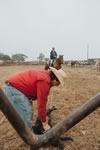 Branding Cattle on the Lazy F Guest Ranch in Texas
