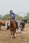 Branding Cattle on the Lazy F Guest Ranch in Texas