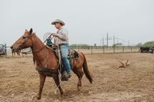 Branding Cattle on the Lazy F Guest Ranch in Texas