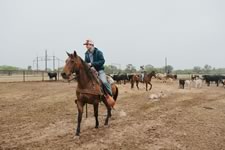 Branding Cattle on the Lazy F Guest Ranch in Texas