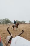 Branding Cattle on the Lazy F Guest Ranch in Texas