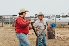 Branding Cattle on the Lazy F Guest Ranch in Texas