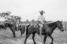 Branding Cattle on the Lazy F Guest Ranch in Texas