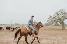 Branding Cattle on the Lazy F Guest Ranch in Texas