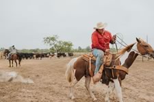 Branding Cattle on the Lazy F Guest Ranch in Texas
