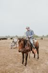 Branding Cattle on the Lazy F Guest Ranch in Texas