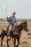 Branding Cattle on the Lazy F Guest Ranch in Texas