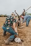 Branding Cattle on the Lazy F Guest Ranch in Texas