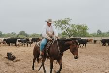 Branding Cattle on the Lazy F Guest Ranch in Texas