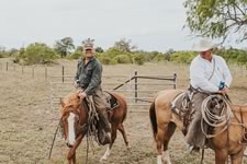 Gathering Cattle on the Lazy F Guest Ranch in Texas