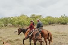 Gathering Cattle on the Lazy F Guest Ranch in Texas