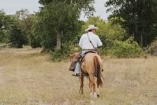 Gathering Cattle on the Lazy F Guest Ranch in Texas