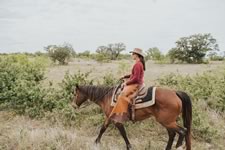 Gathering Cattle on the Lazy F Guest Ranch in Texas