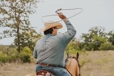 Gathering Cattle on the Lazy F Guest Ranch in Texas