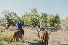 Gathering Cattle on the Lazy F Guest Ranch in Texas