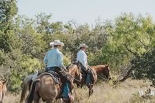Gathering Cattle on the Lazy F Guest Ranch in Texas