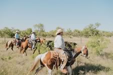 Gathering Cattle on the Lazy F Guest Ranch in Texas