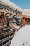 Gathering Cattle on the Lazy F Guest Ranch in Texas