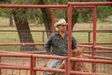 Working Cattle on the Lazy F Guest Ranch in Texas