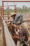 Working Cattle on the Lazy F Guest Ranch in Texas