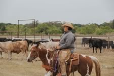 Working Cattle on the Lazy F Guest Ranch in Texas