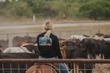Working Cattle on the Lazy F Guest Ranch in Texas