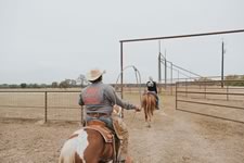 Working Cattle on the Lazy F Guest Ranch in Texas